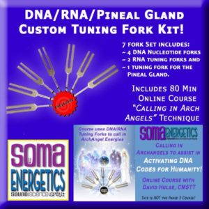 Picture of DNA/RNA Kit